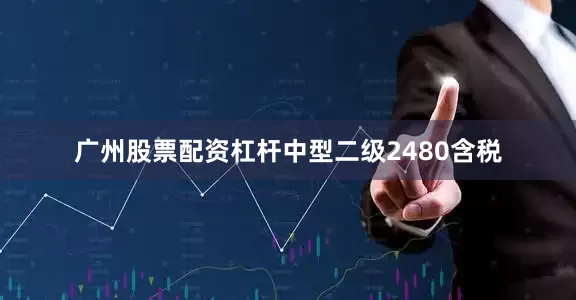 广州股票配资杠杆中型二级2480含税