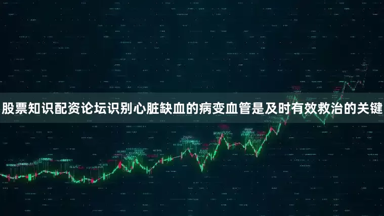 股票知识配资论坛识别心脏缺血的病变血管是及时有效救治的关键
