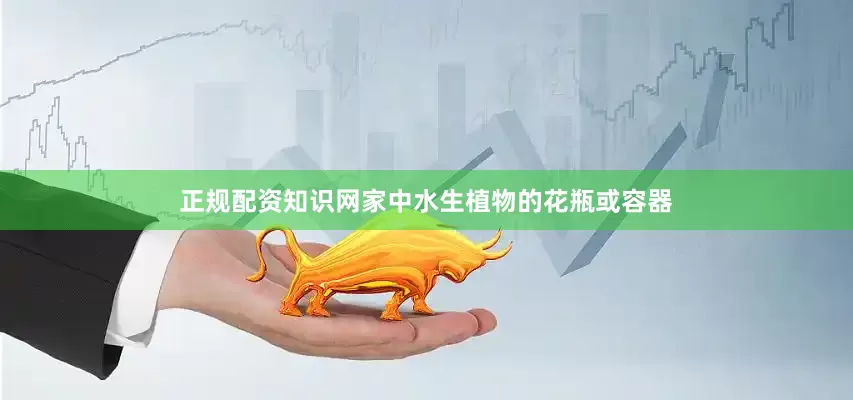 正规配资知识网家中水生植物的花瓶或容器
